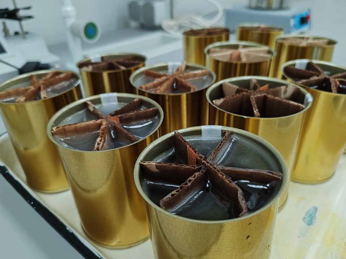 Фото с сайта ОмГПУ https://omgpu.ru/news/v-omgpu-proshla-akciya-vse-dlya-fronta-vse-dlya-pobedy