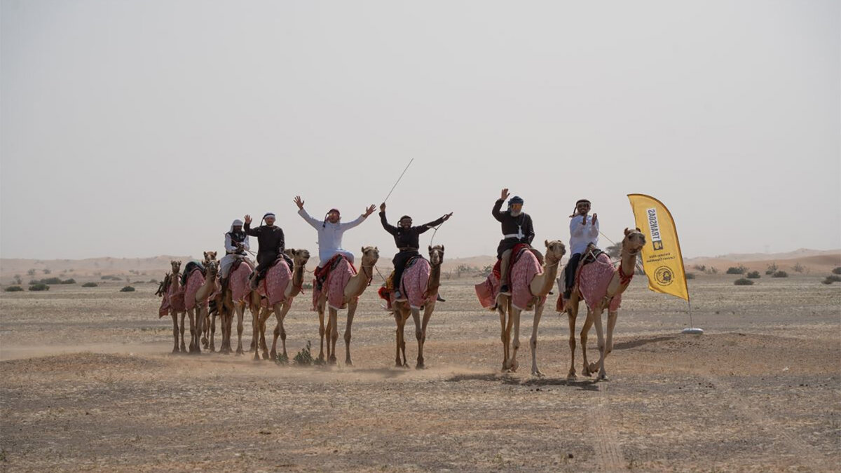 Camel желтый фото со всех сторон. The camel was very. The camel was very. Animal adaptation. Теория катастроф кювье.