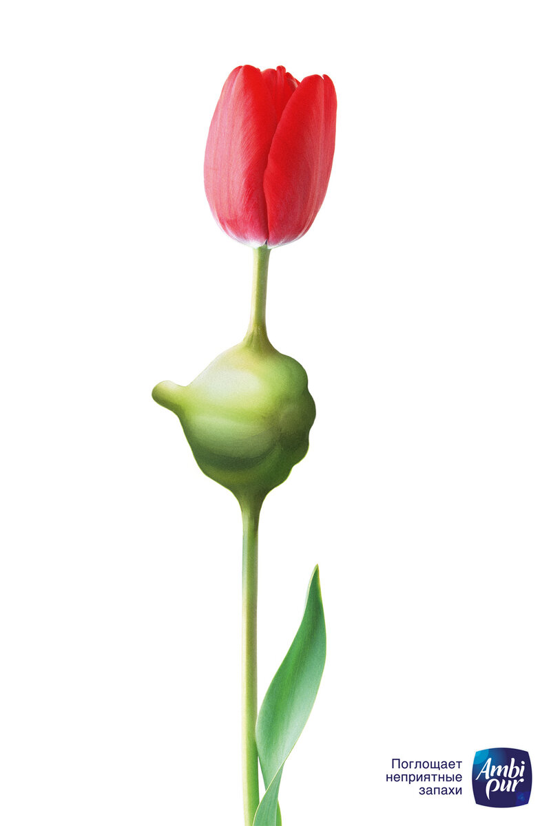 Ambi Pur Russia advertising Cannes Lions