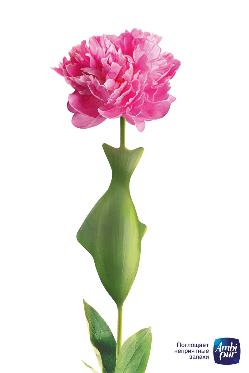 Амби Пюр Россия Каннские Львы 