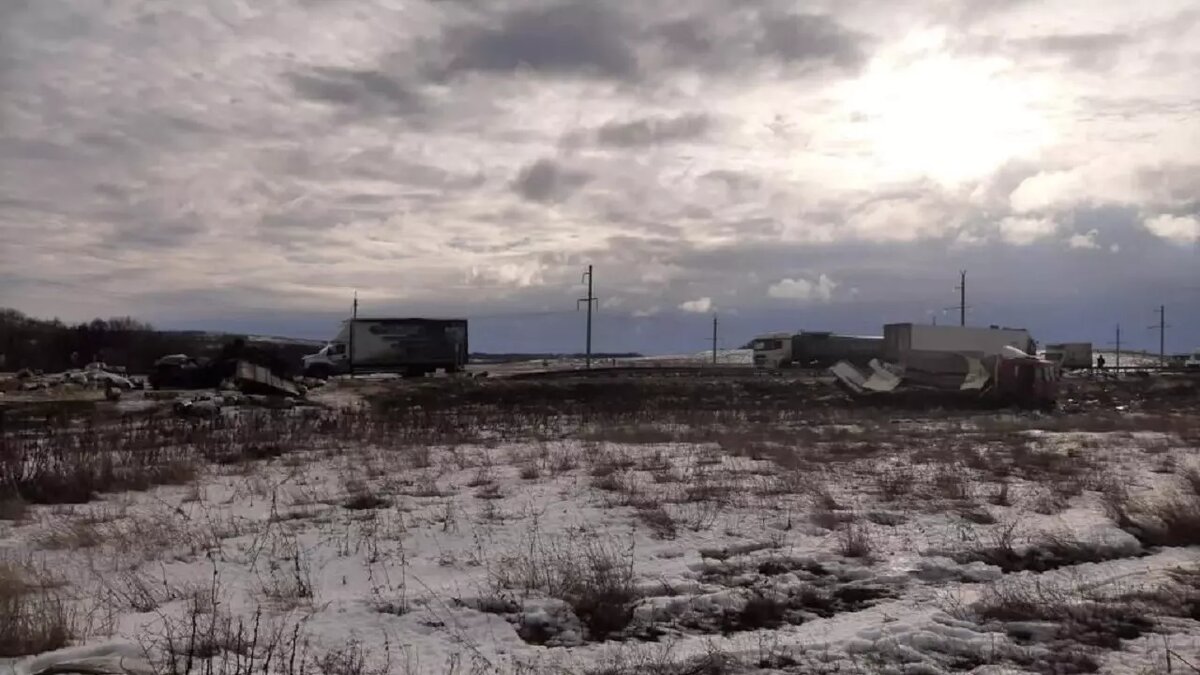     Утром 8 февраля на автотрассе Волгоград — Саратов в Камышинском районе произошло массовое ДТП. В результате аварии погиб один человек и кот.