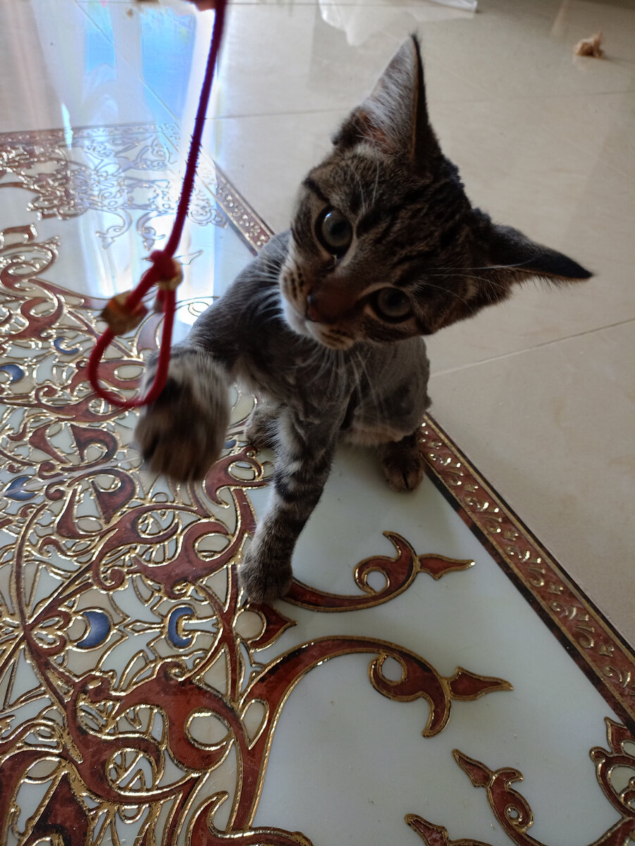 Внутреннее представление числа в 2 байтовой ячейке. Внутренне устойчивое множество графа. Внутренняя устойчивость. Хроматическое число определить. Внутренне устойчивое множество графа.