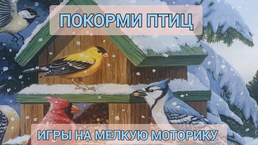 Покорми птиц