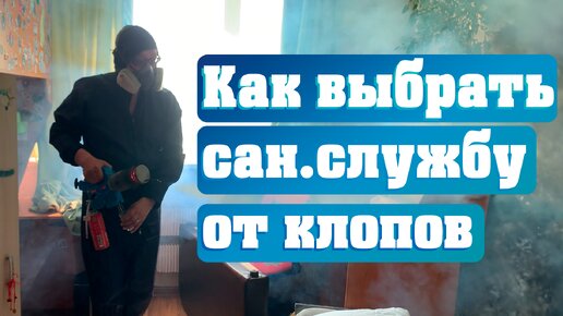 Как выбрать санитарную службу от клопов? На что обращать внимание, какие документы спрашивать, как отличить дилетантов от профессионалов