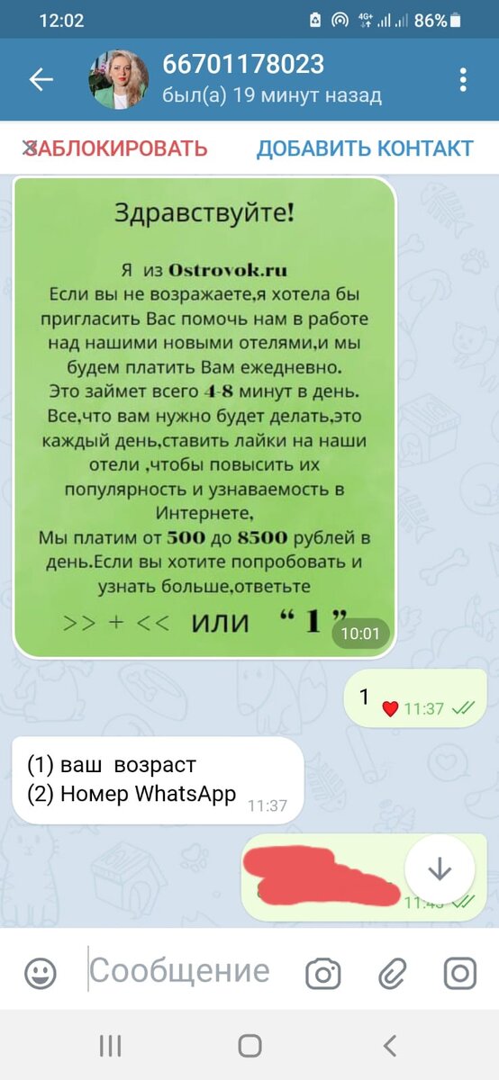 Скрин автора 