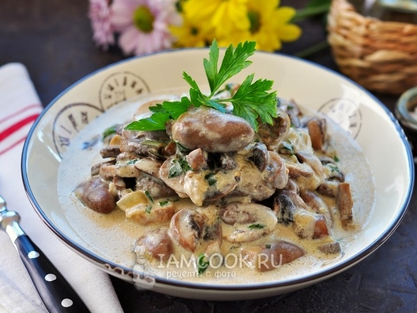 Правильное питание для всей семьи - 10 вкусных и полезных обедов