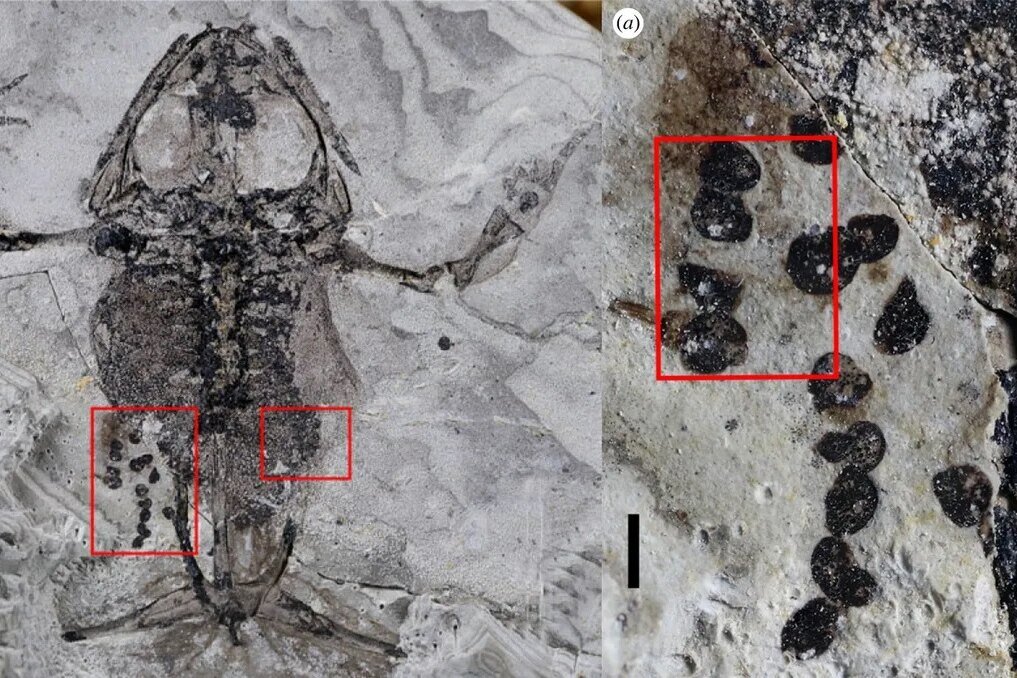 Вычислить g a b. Пример вычисления дисперсии. Coss. Таблица истинности выражения f. Вычислить.