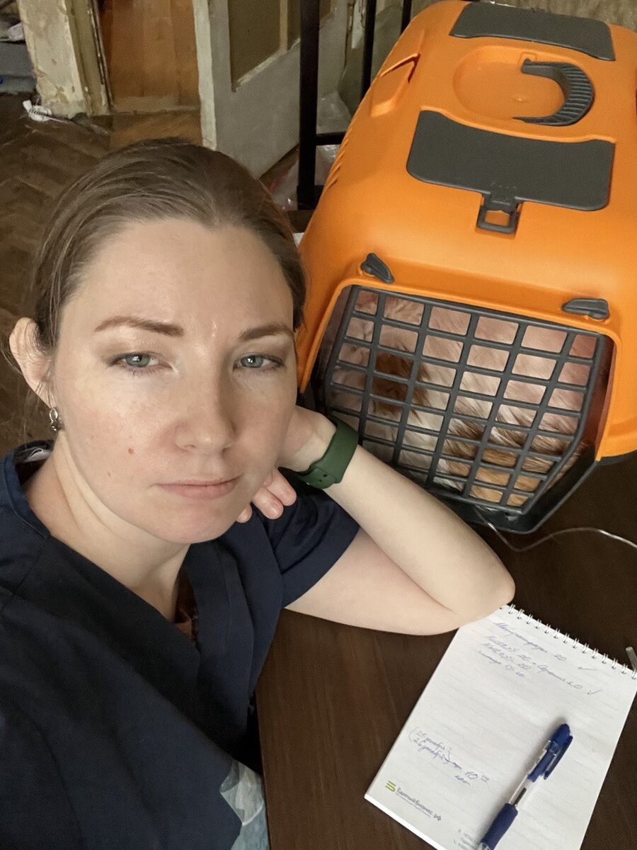 Ставлю капельницу на дому 