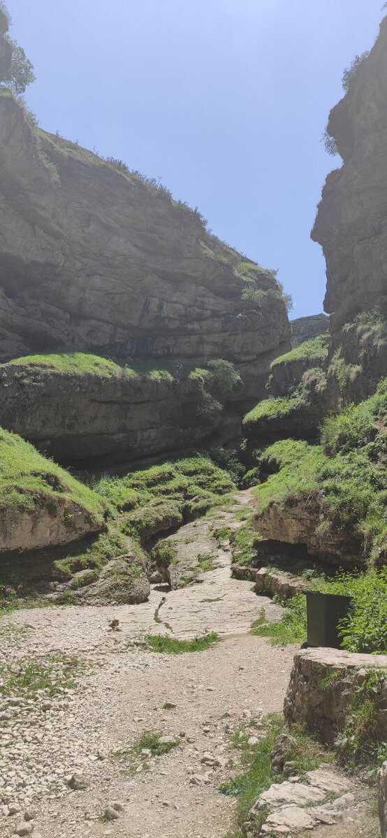 Начало тропы