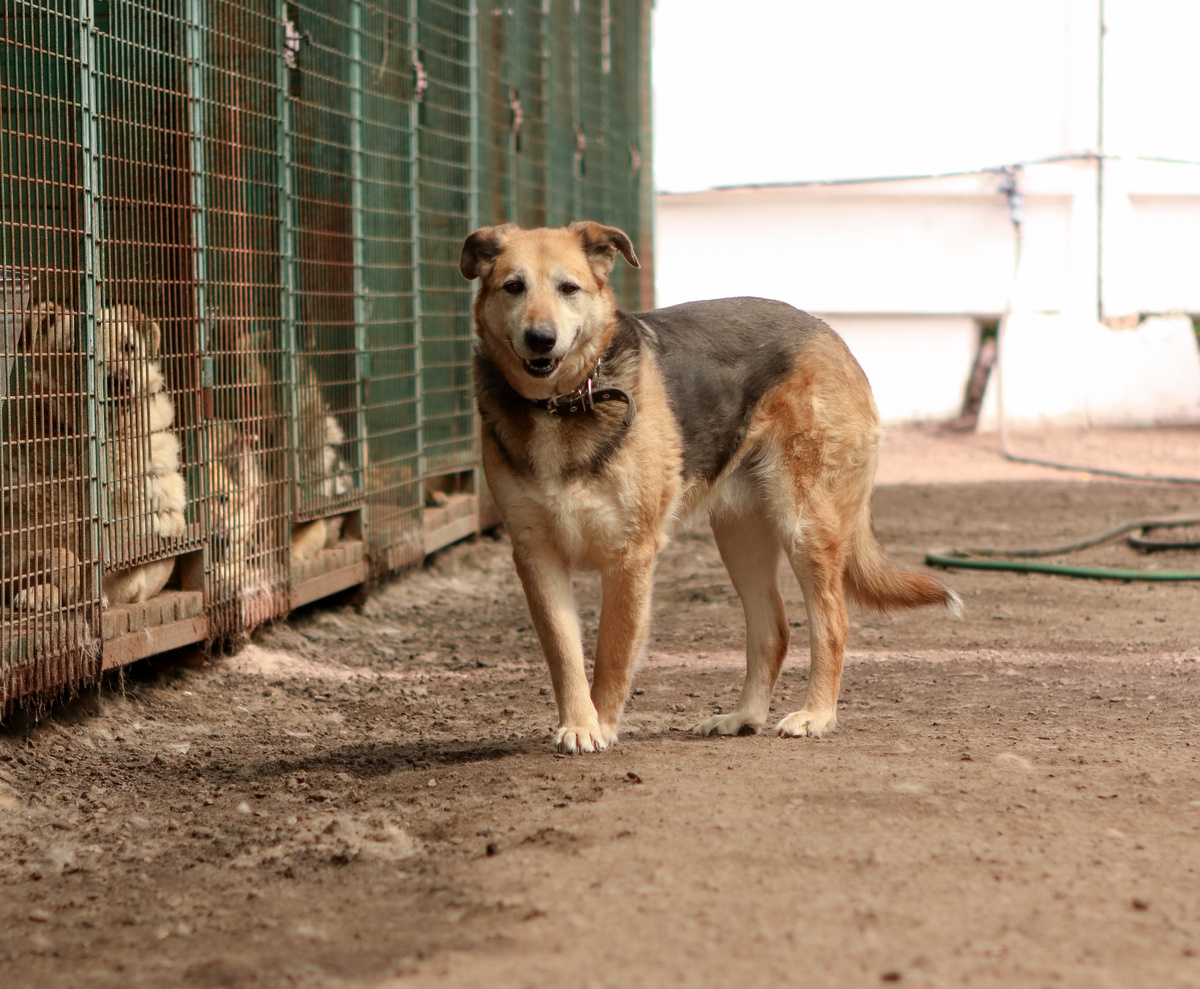 Я вообще рада хорошим людям