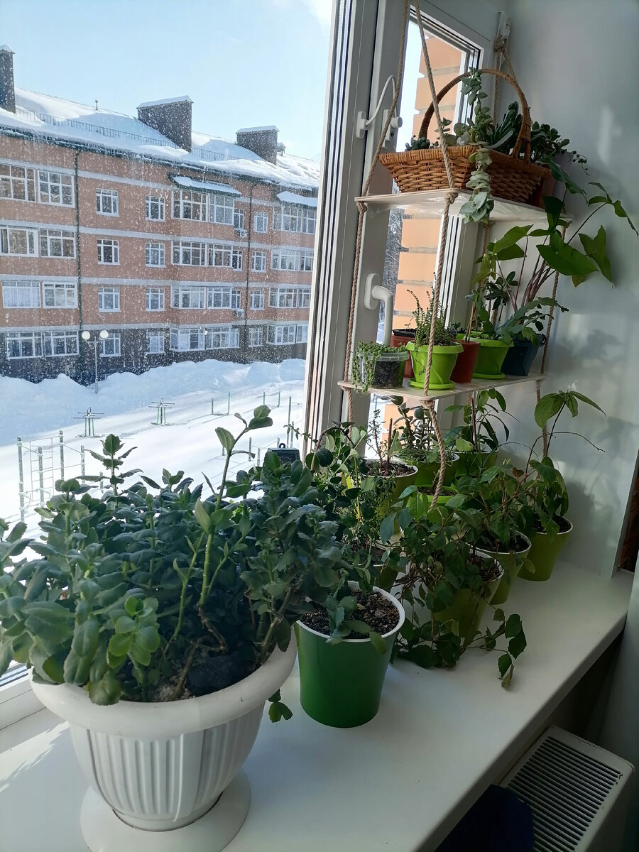 дождь. солнышко любимое выгляни в окошко. выглянуло солнце. "под грибом сказка". закличка солнышко ведрышко для детей.