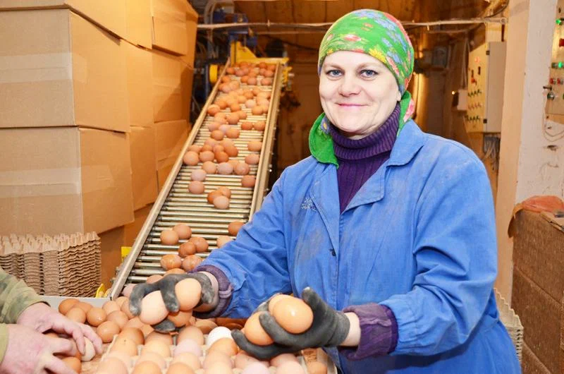 Потребление яиц вызывает атеросклероз? Давайте наконец разберемся