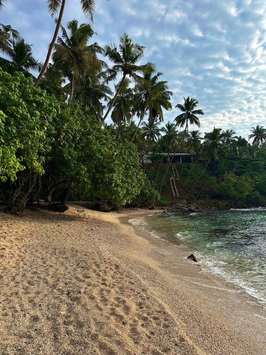 пляж баунти феодосия крым. песчаный берег анапа. купаться в море. «песчаный берег моря»сёра. геленджик 2021 сосновка.