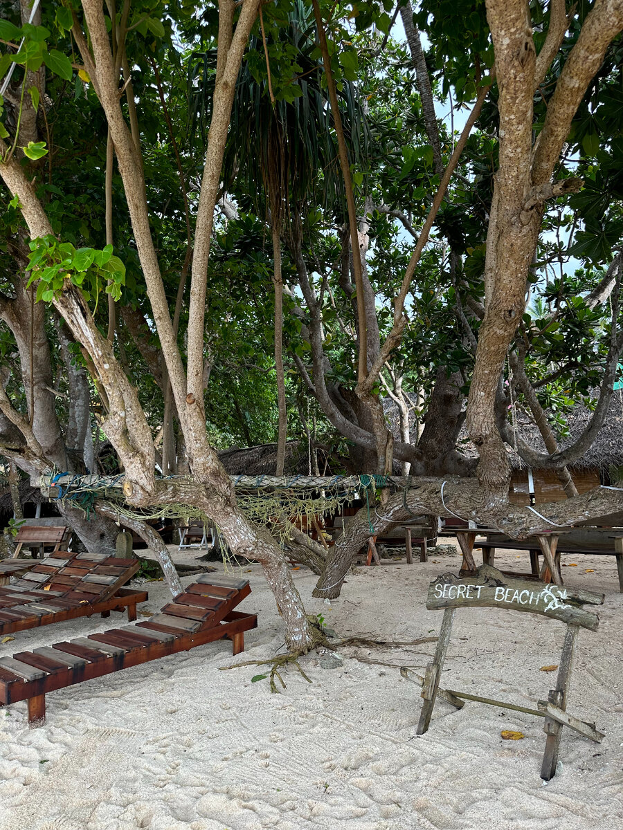 Фильм время про пляж. Памела андерсон спасатели малибу 1989. Томасин маккензи 2021. Пляж где стареют. Время м найт шьямалан фильм 2021.