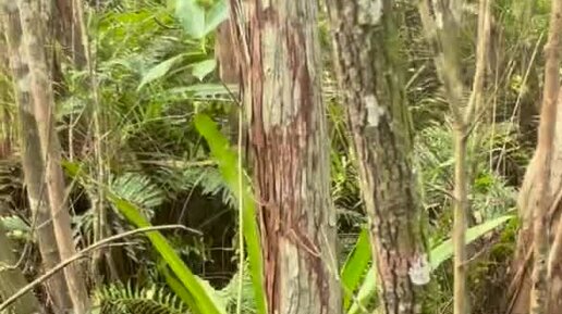 окно в перу дзен. ледовый дворец спорта. японское круглое окно. музей лога каменск шахтинский официальный. окно в перу дзен.