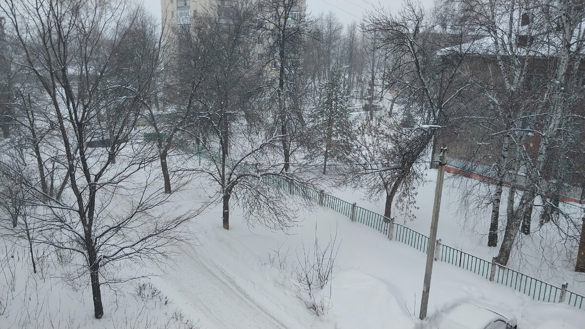 Фото автора.