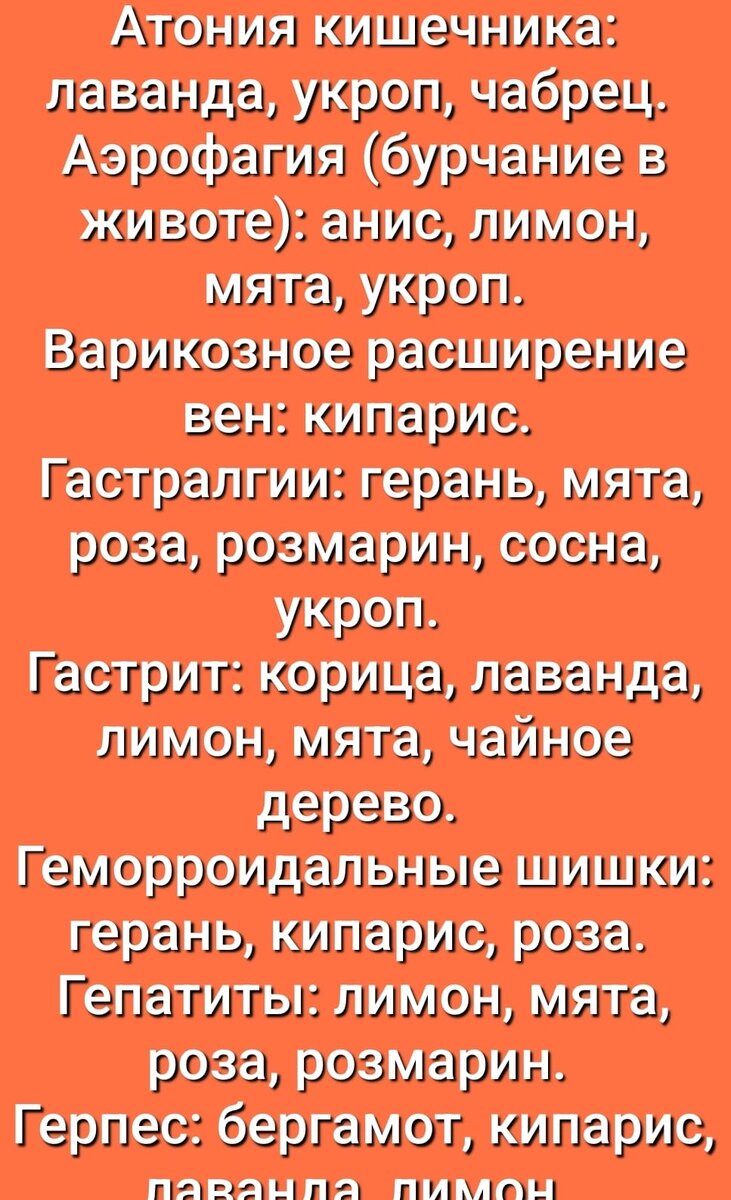 Ведьмёныш. Встреча. Про экскурсии в замки, про поцелуй бабушки и про слухи  | Ведьмины подсказки. Мифы, фэнтези, мистика | Дзен