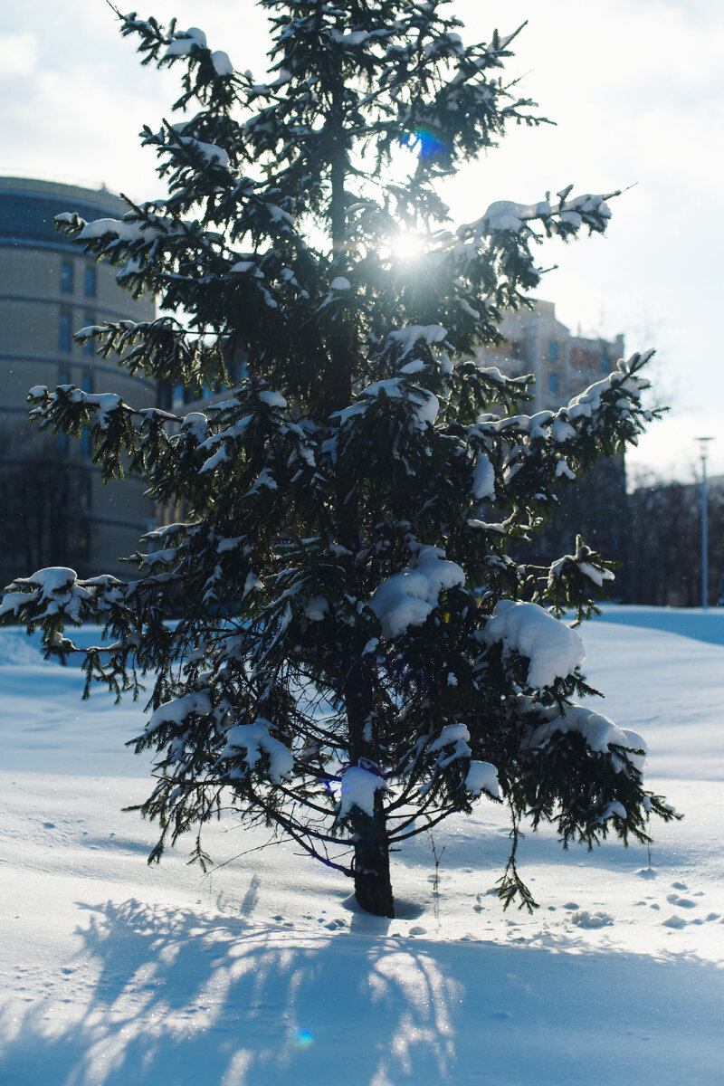 Парк в Москве