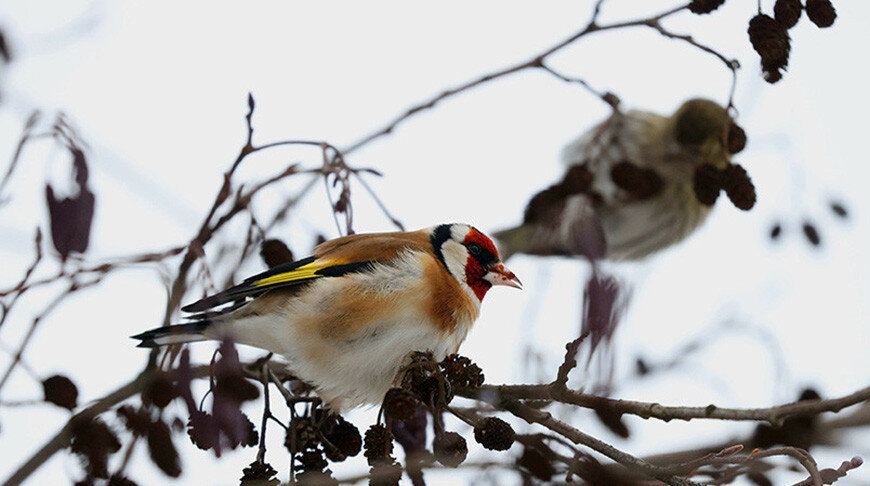    Фото из архива
