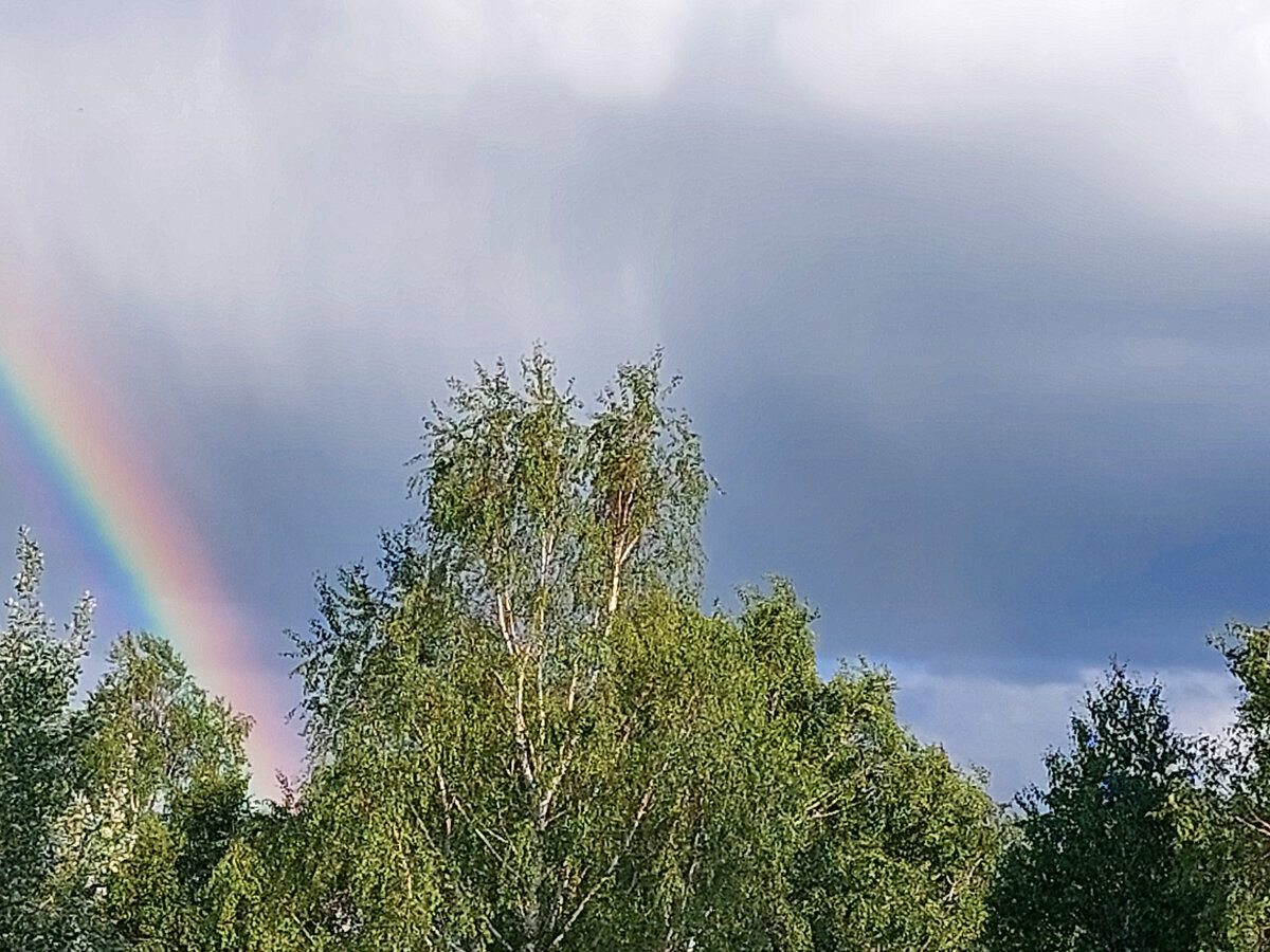 Радуга над лесным оврагом. Июль.