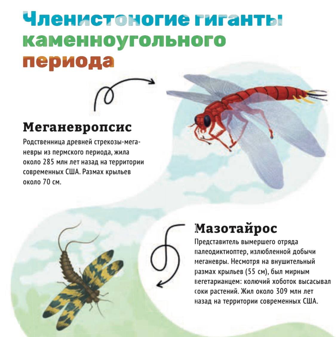 А1 ли