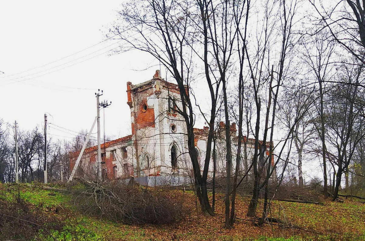 Где отдохнуть в Алексинском районе Тульской области? Гид по турбазам и  гостиницам | Яндекс Путешествия | Дзен