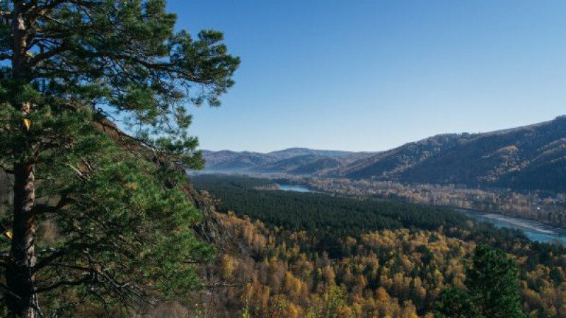     Горный Алтай. Фото: Ирина Пергаева.