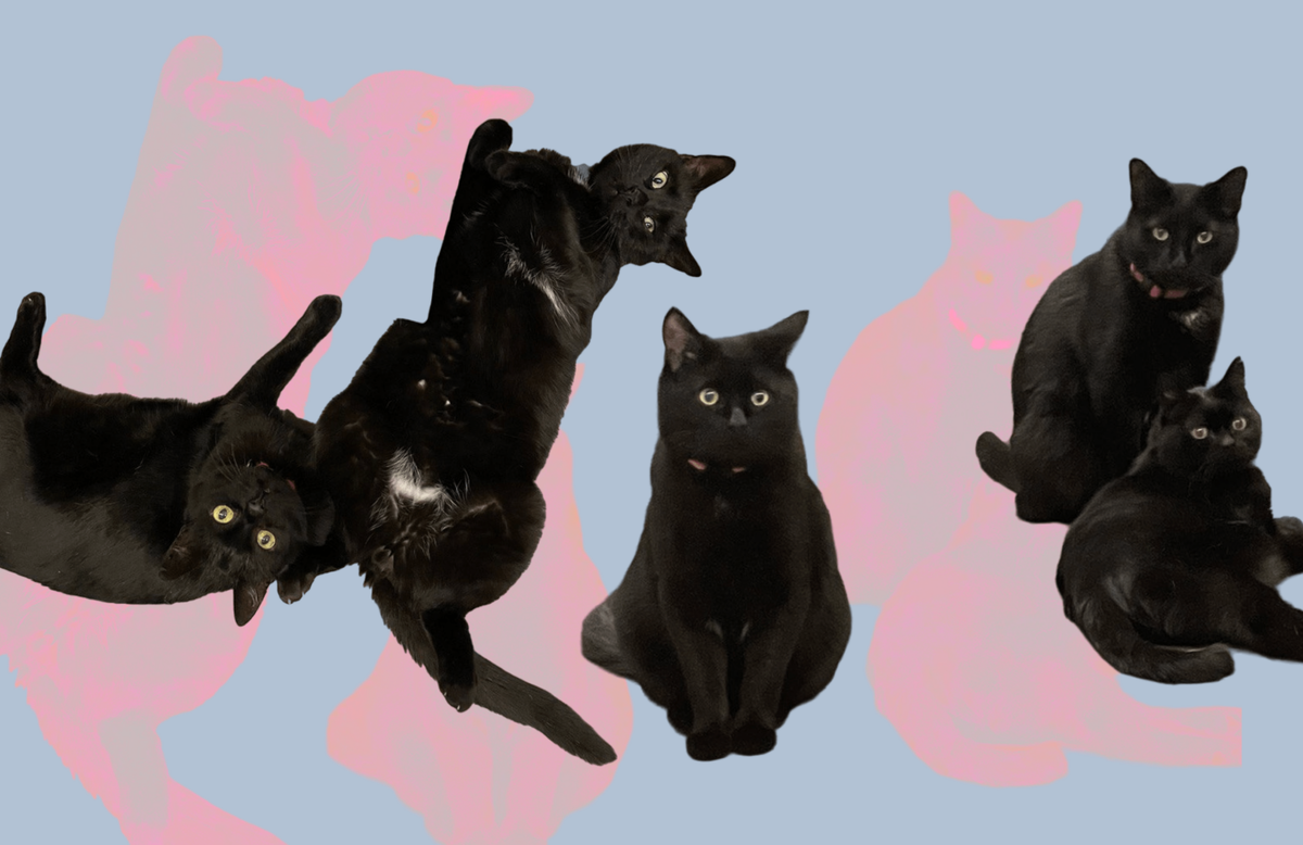    Фото: архивы пресс-служб Екатерина Сахарова