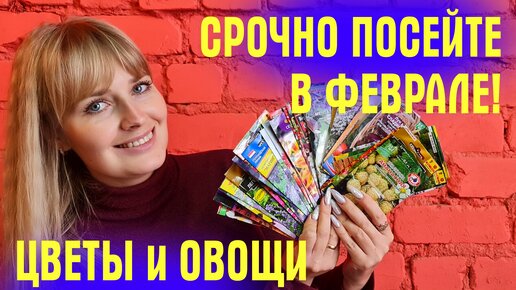 секс большими овощами порно онлайн. Порно ролики с секс большими овощами в хорошем HD качестве.