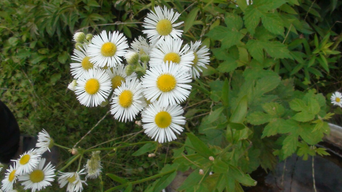 Моё. 
А это помнишь?: 