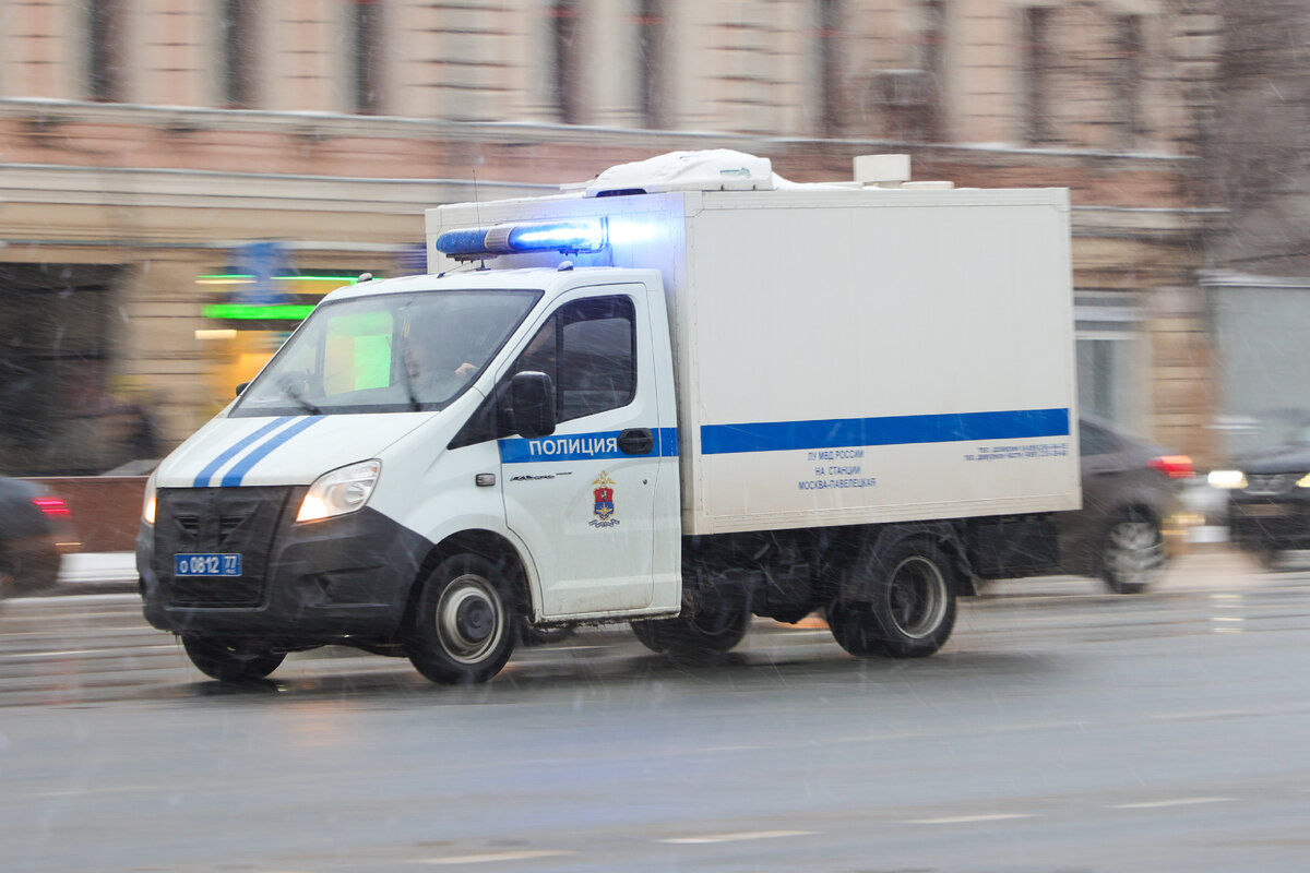 Фото: Petrov Sergey/news.ru