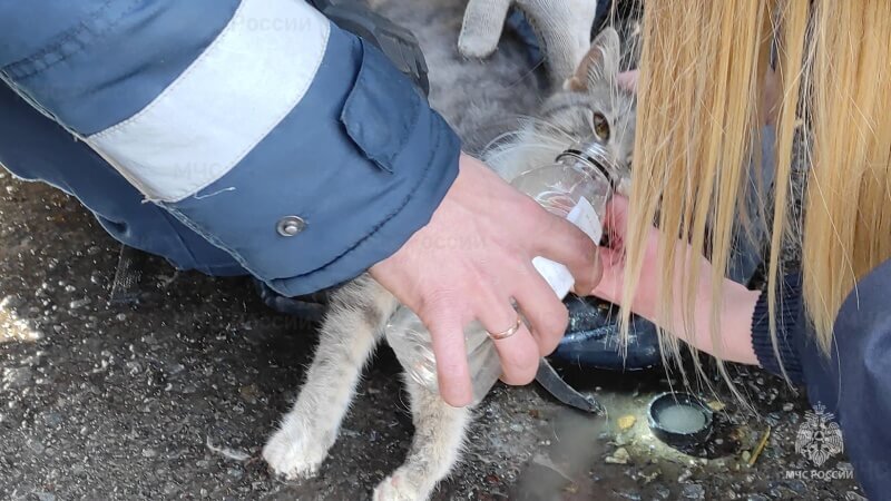    ГУ МЧС по Ростовской области