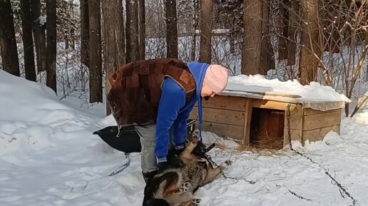 Много событий волонтёрского дня в одном видео. Приют 