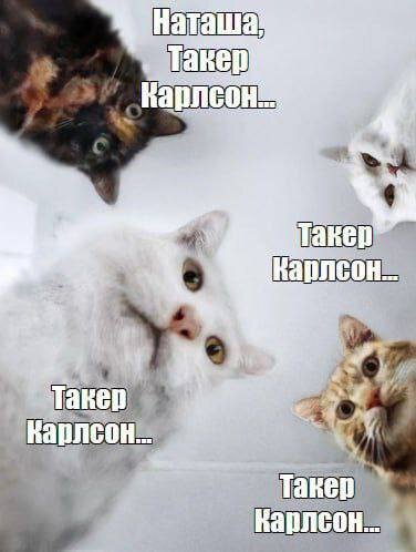 Все фото из интернета.