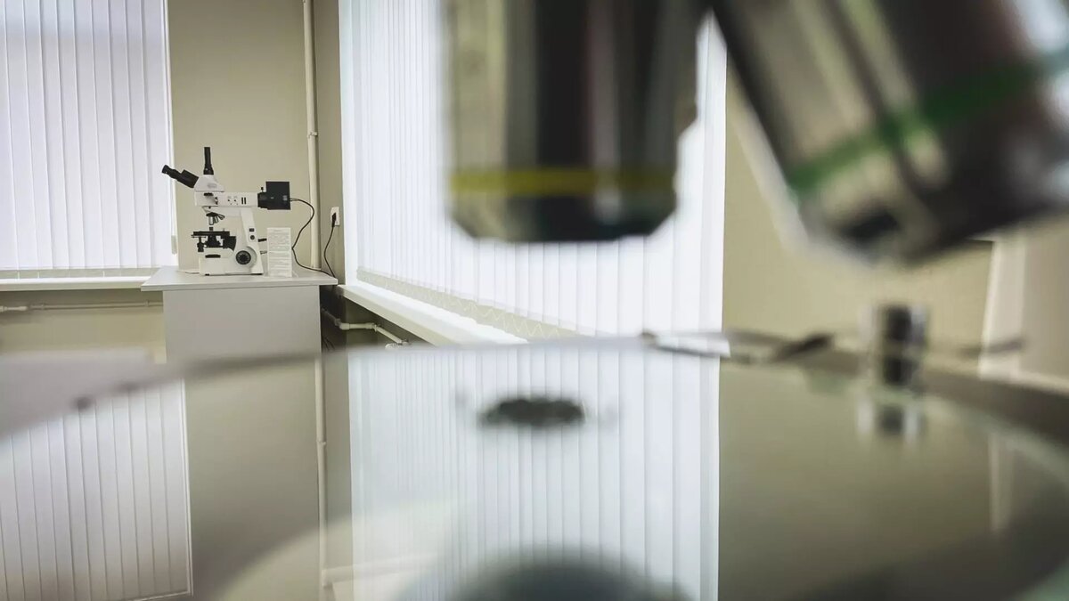     8 февраля в РФ отмечается День российской науки. В честь праздника NewsNN решил вспомнить пять самых ярких и значимых открытий нижегородских ученых, совершенных в 2023 году.