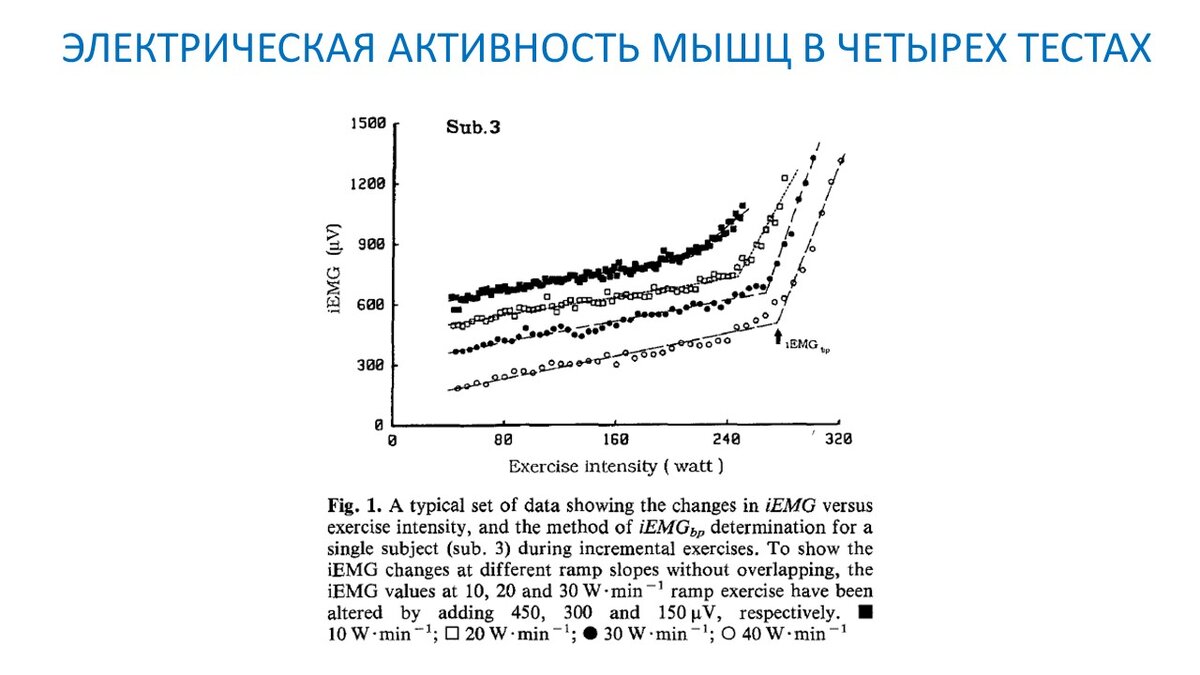 Разные протоколы теста на выносливость: работа мышечных волокон и МПК |  Василий Волков | Дзен