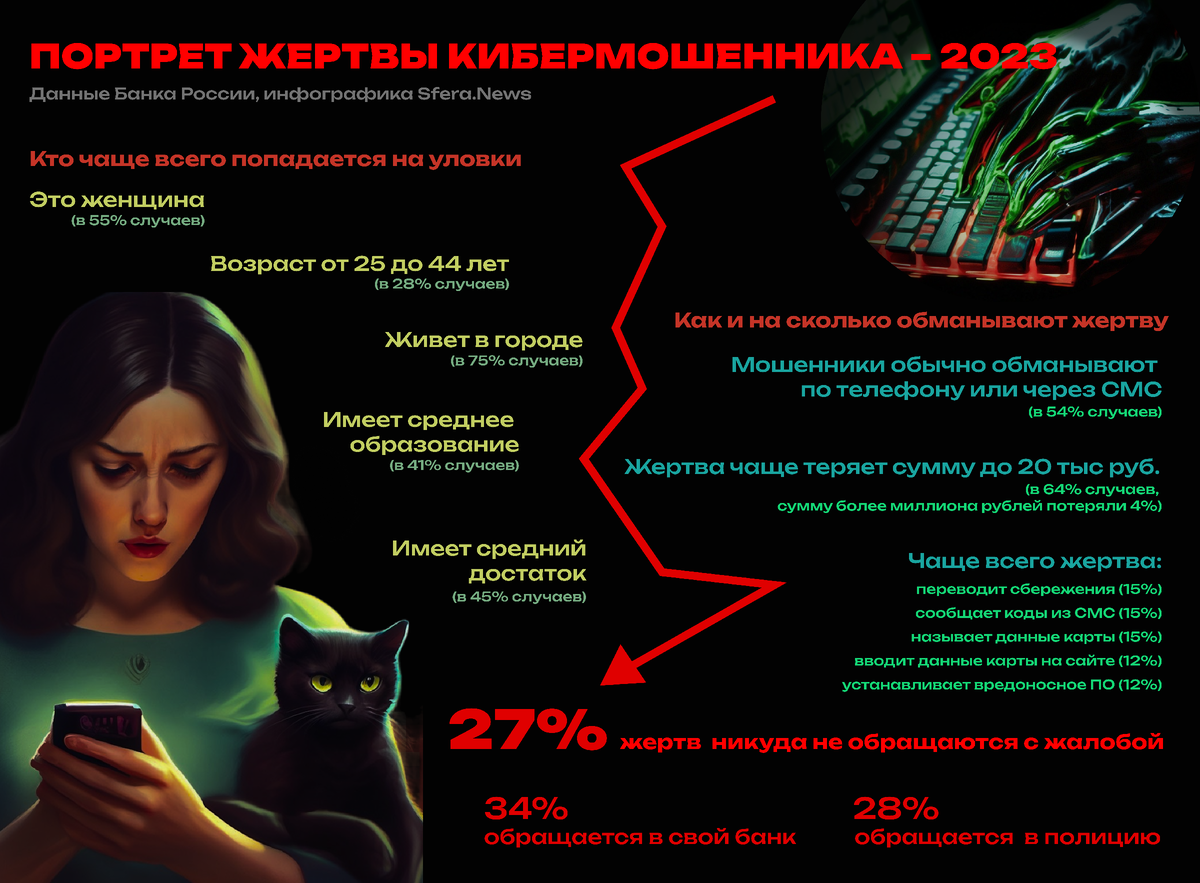 Потрет жертвы кибермошенника, инфографика Sfera.News