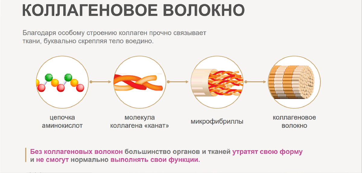 Как влияет коллаген на стул