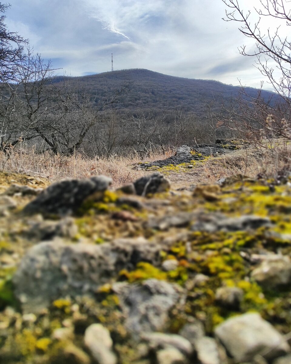 Вид на Машук с Перкальской скалы (февраль 2024 года)