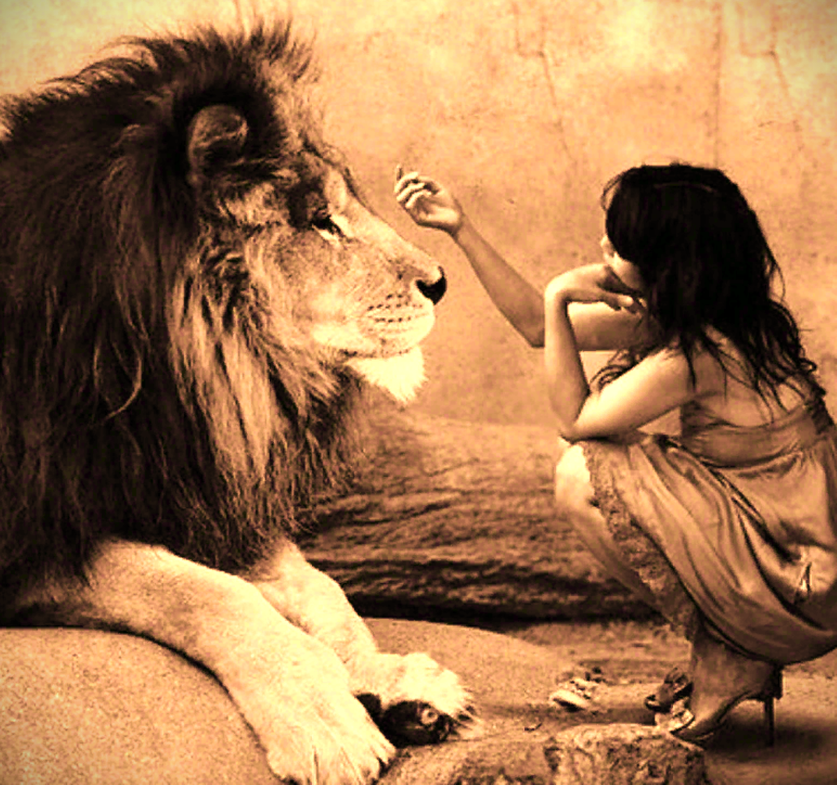 правила стервы. женщина вредничает. первые шаги книга. как стать стерврвой для мужа. шерри аргов книги.