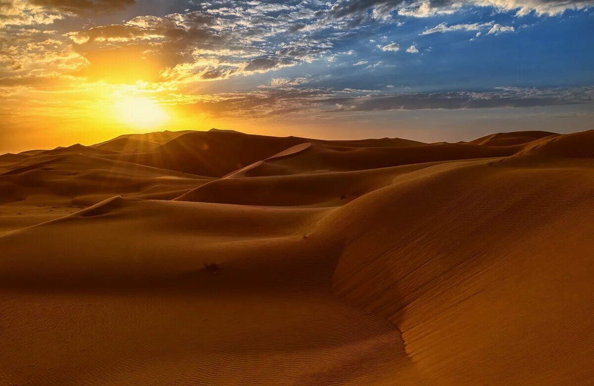 Арабский оазис. ОАЭ пустыня руб-Эль-Хали. Барханы Оазис Саудовская Аравия. Пустыня Каракум Оазис. Саудовская Аравия пустыня руб-Эль-Хали.
