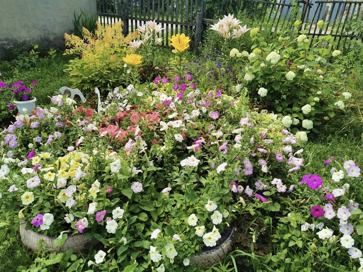 Наш цветущий рай в 2023 году