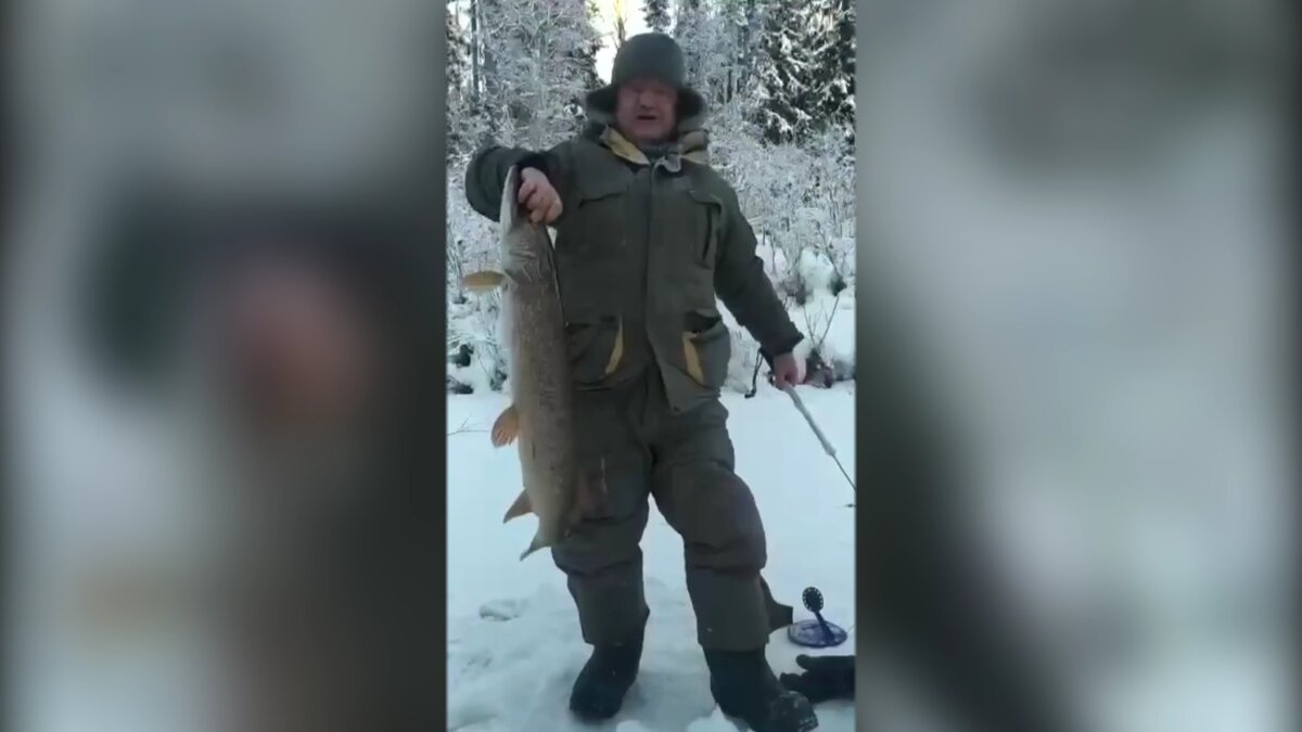    Полосатый улов. Сергей Маненков поздравил югорчан с Днём зимней рыбалки