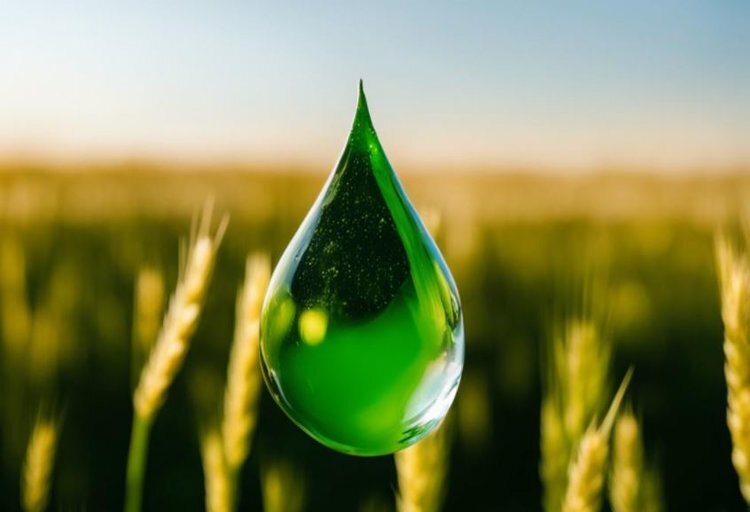    Мощности по хранению и отгрузке жидких удобрений построят в Саратовской области