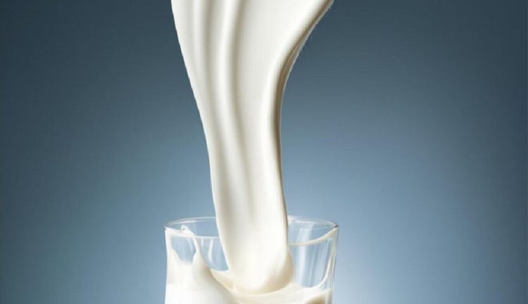    О необходимости пересмотра программ поддержки производителей молока заявил Сергей Лисовский