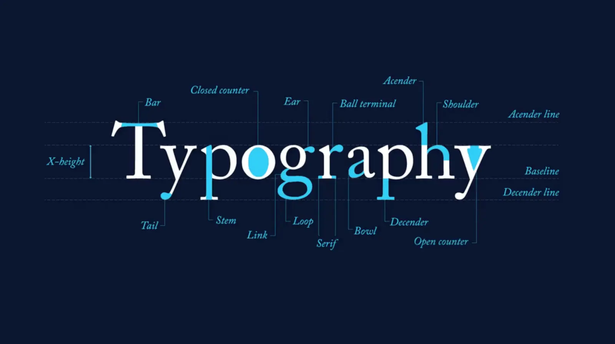 Дизайнерские шрифты. Красивая типографика. Типографика шрифты. Графический дизайн шрифты. Interactive text