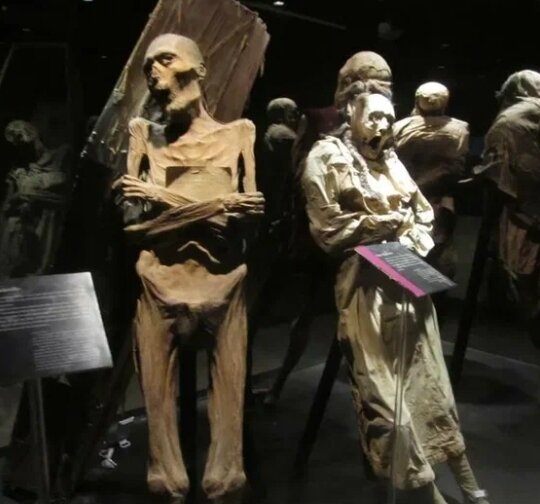 Фото взято взято из открытых источников