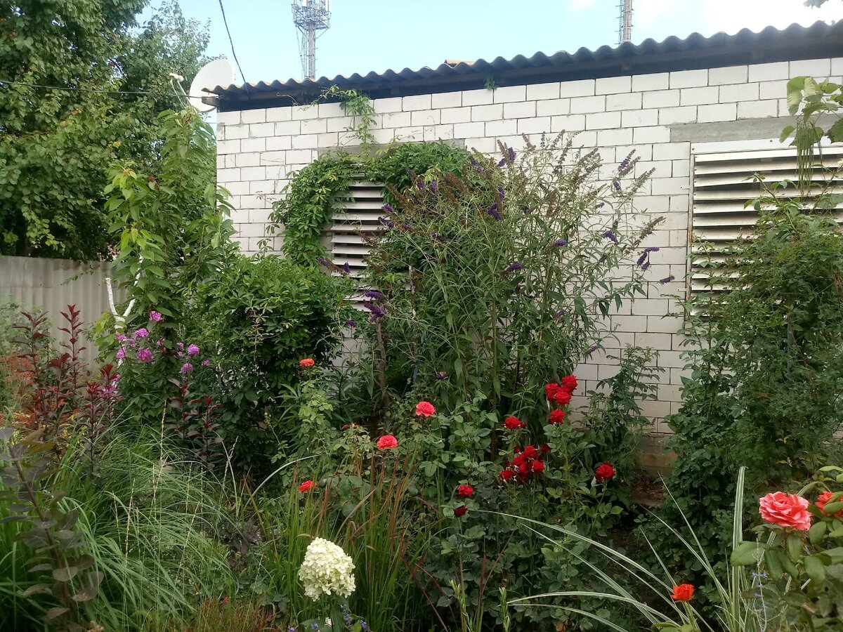 конфетка сегодня