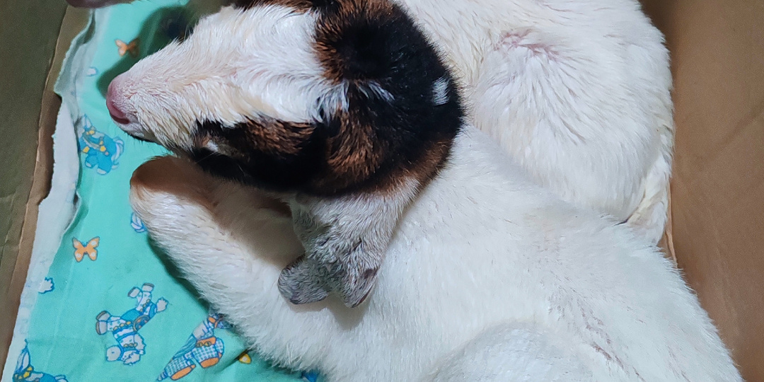 УРааа, пополнение!