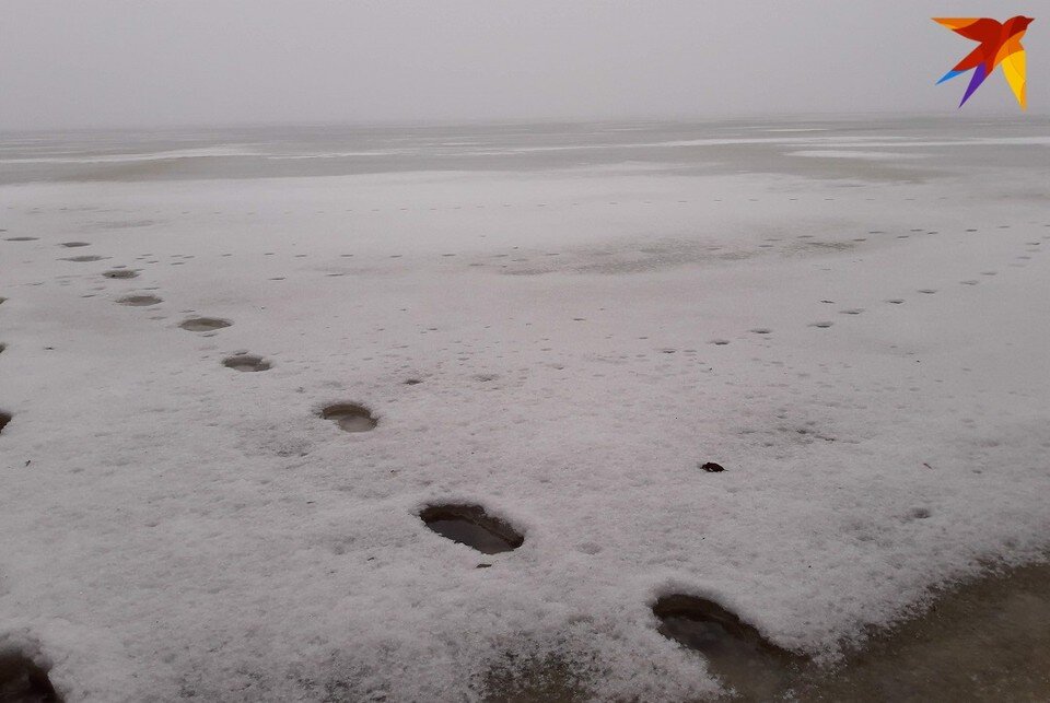 Методы обнаружения следов рук. Дактилоскопические порошки в криминалистике. Выявление невидимых следов рук. Методы выявления следов. Способы выявления следов рук.